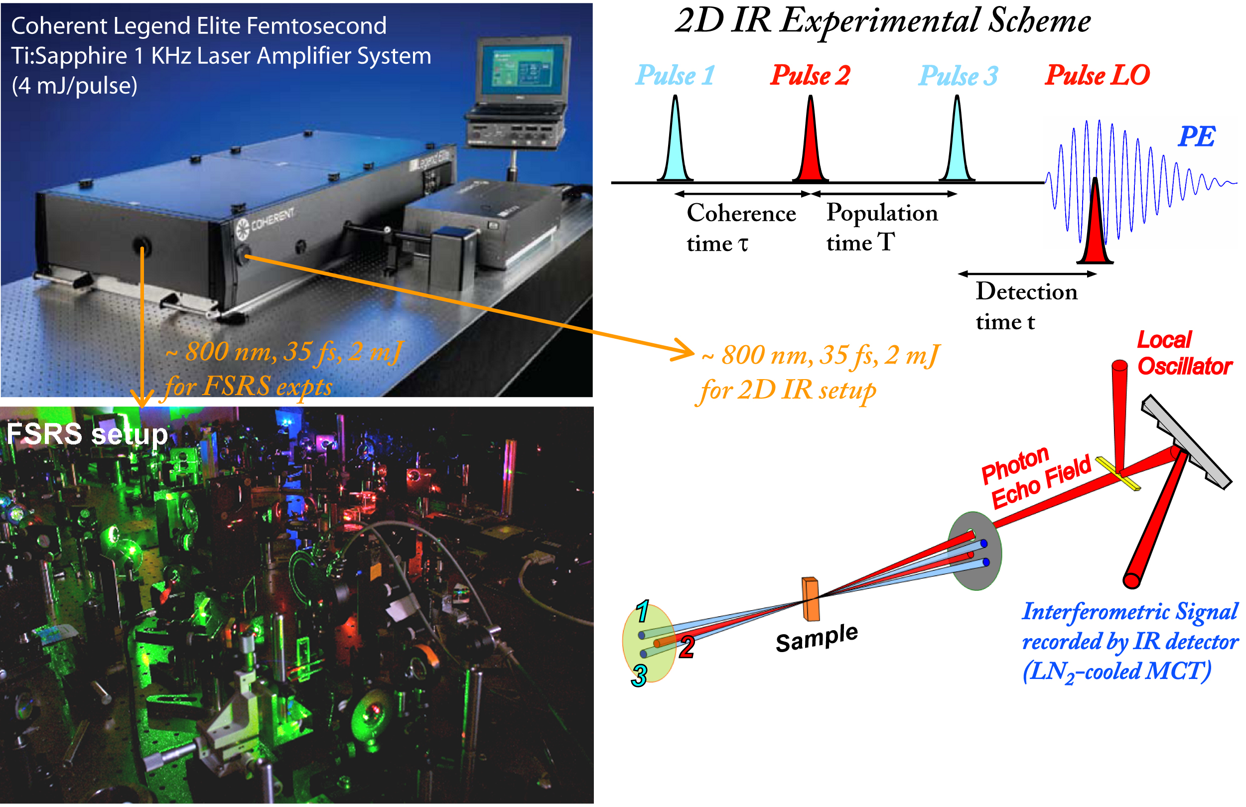 FSRS and 2D IR